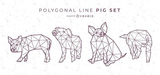 Conjunto Poligonal Line Pig