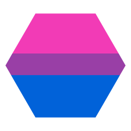 Plano bisexual raya hexagonal Diseño PNG