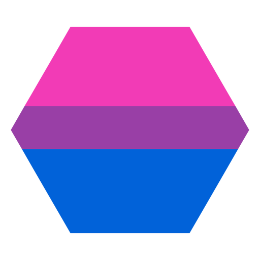 Bisexueller Sechskantstreifen flach PNG-Design