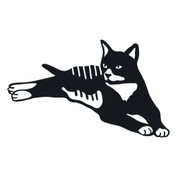 Cat muzzle stripe tail fur doodle PNG Design