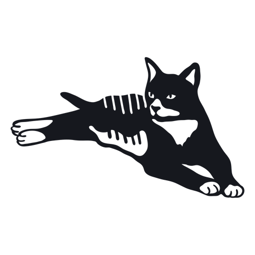 Doodle de piel de cola de raya de hocico de gato Diseño PNG