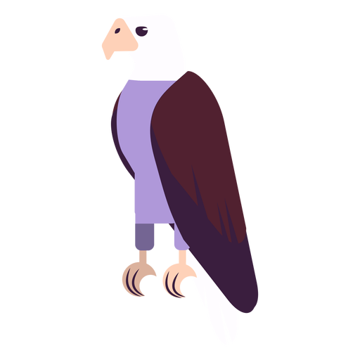 Eagle claw wing beak rounded flat