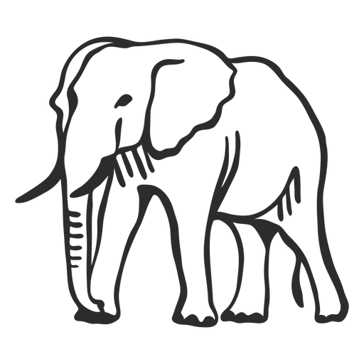 Doodle plano de cola de tronco de marfil de oreja de elefante Diseño PNG