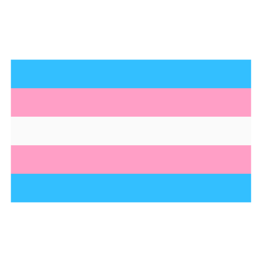 Flag stripe transgender flat PNG Design