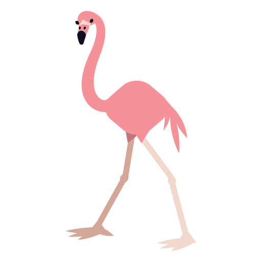 Flamingo bico perna rosa arredondada plana Desenho PNG