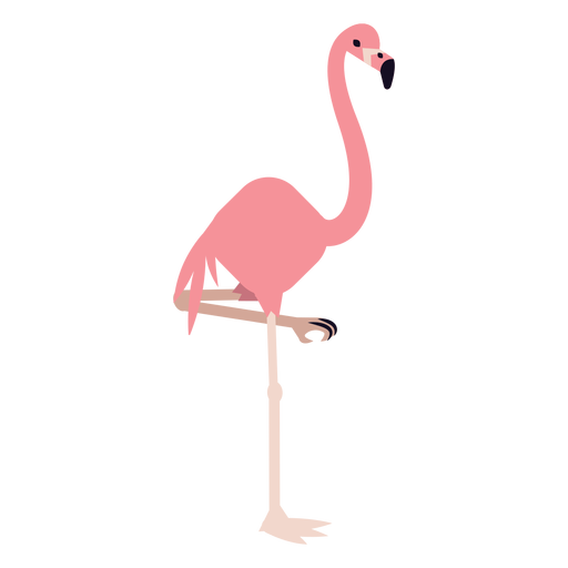 Flamingo pierna pico rosa redondeado plano