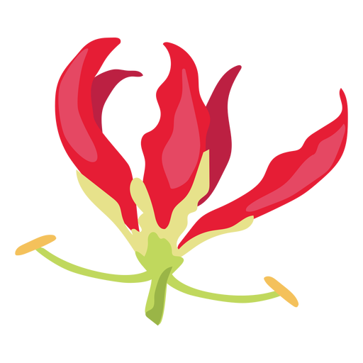 Flower bud petal pistil flat PNG Design