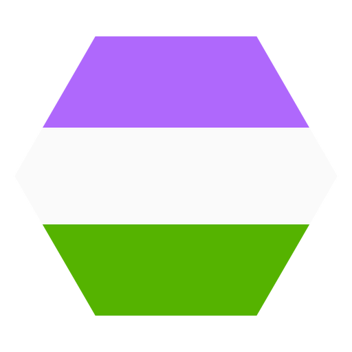 Genderqueer hexagon stripe flat