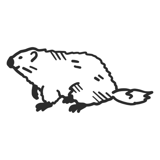 Doodle de cola de piel de hocico de marmota de cerdo de tierra Diseño PNG