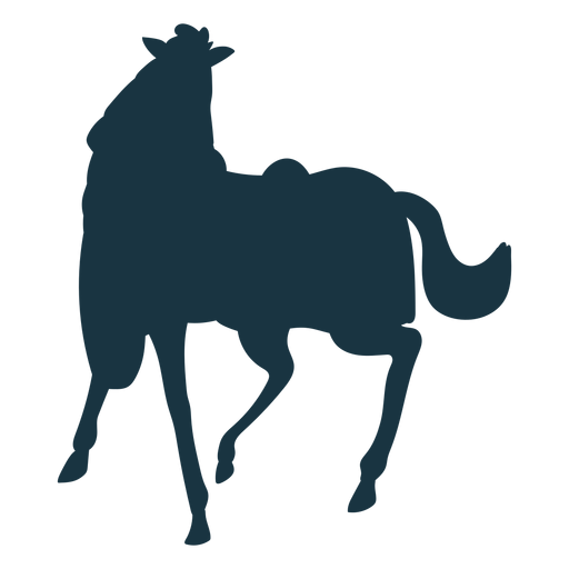 Caballo cola pezuña melena silla silueta Diseño PNG