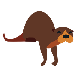 Kalan muzzle fur tail rounded flat PNG Design