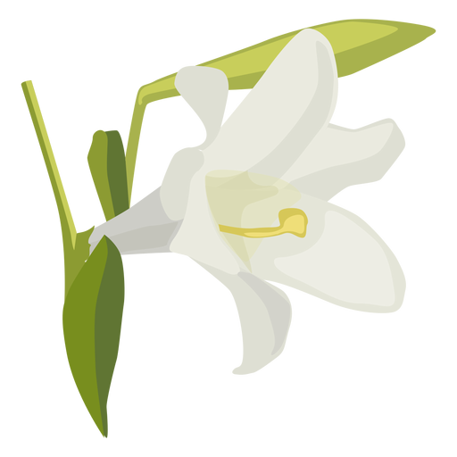 Lily flower bud petal flat PNG Design