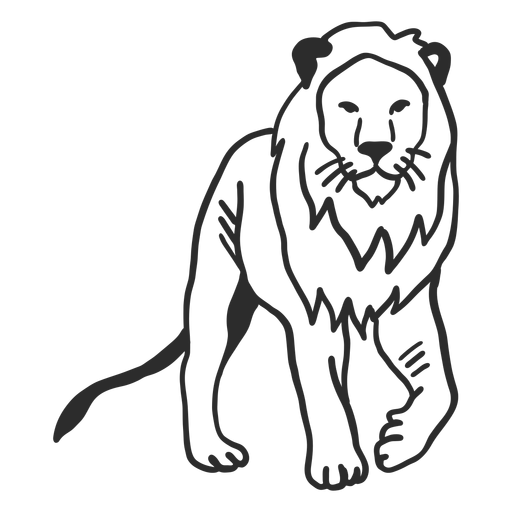 Doodle de melena de rey de cola de león Diseño PNG