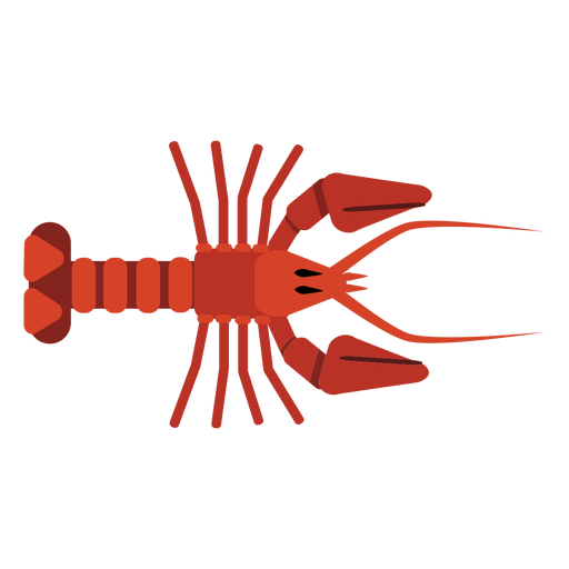 Garra de cauda de antena de lagosta arredondada plana Desenho PNG