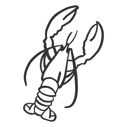 Doodle de garra de antena de cauda de lagosta Desenho PNG