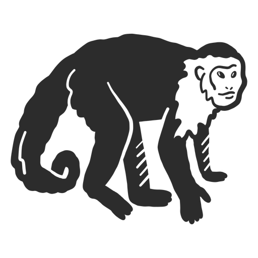 Doodle de cola de hocico de pata de mono Diseño PNG