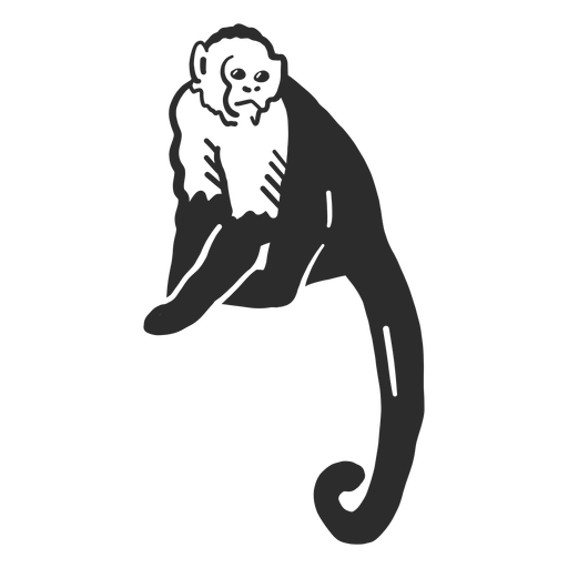 Doodle de pata de hocico de cola de mono Diseño PNG