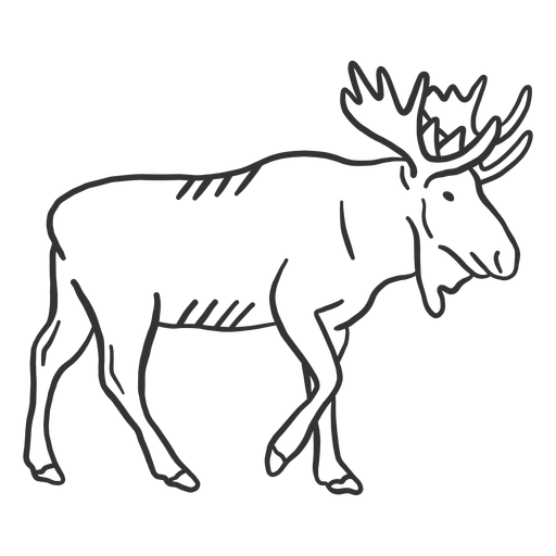 Moose hoof elk muzzle antler doodle PNG Design