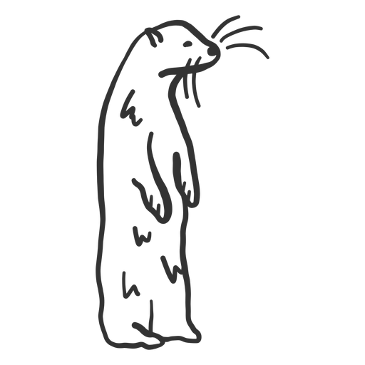 Doodle de pele de focinho de lontra Desenho PNG