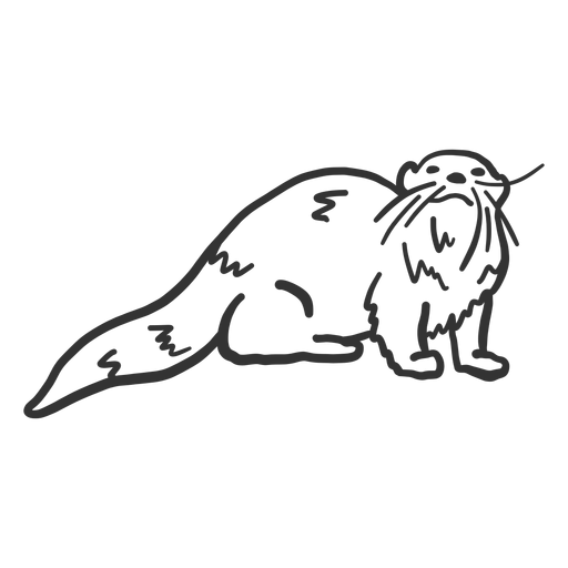Otter muzzle fur tail doodle