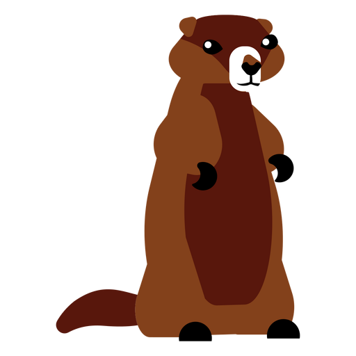 Focinho de lontra cauda de pelo arredondado achatado Desenho PNG