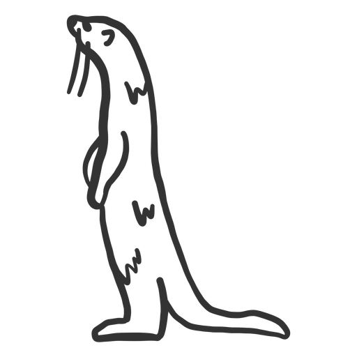 Doodle de piel de cola de hocico de nutria Diseño PNG