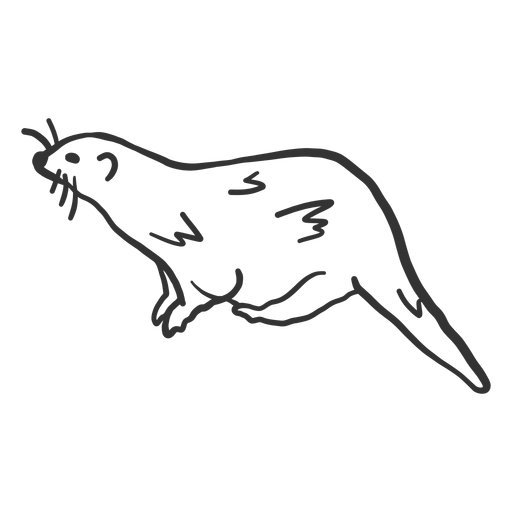 Otter tail muzzle fur doodle PNG Design