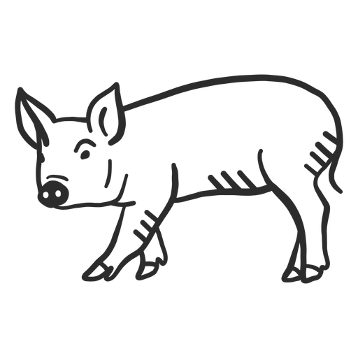 Doodle de orelha de focinho porco casco Desenho PNG