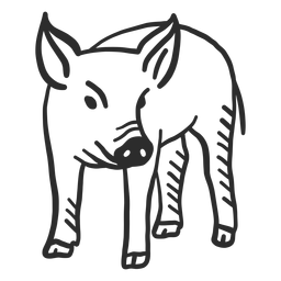 Pig snout ear hoof doodle PNG Design