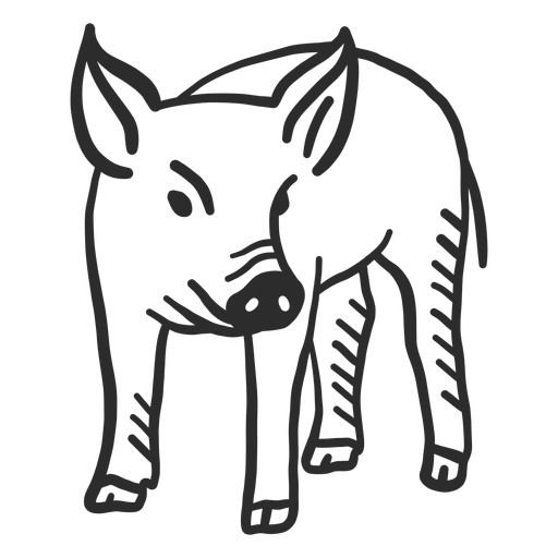 Pig snout ear hoof doodle PNG Design