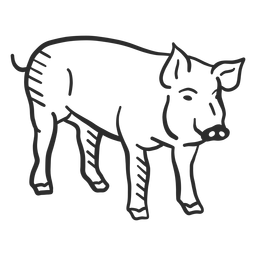 Schwein Schnauze Huf Ohr Gekritzel PNG-Design