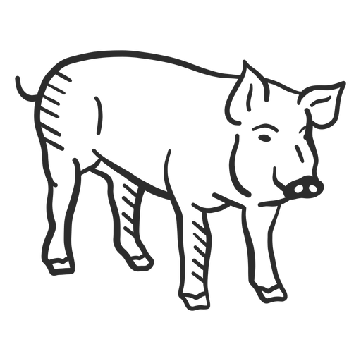 Doodle de orelha de porco focinho de porco Desenho PNG