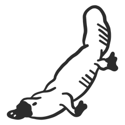 Schnabeltier Entenschnabel Schwanz Schnabel Schnauze Gekritzel PNG-Design