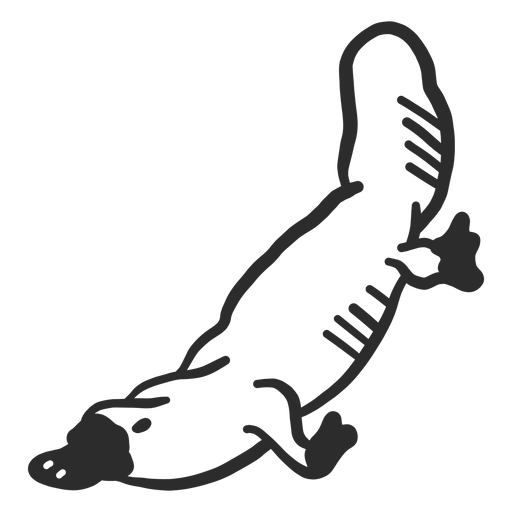 Doodle del hocico del pico de la cola de pato platypus Diseño PNG