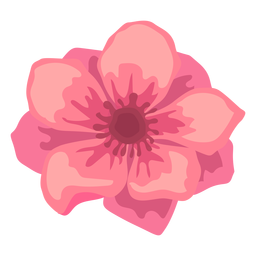 Poppy Flower Bud Petal Flat PNG & SVG Design For T-Shirts