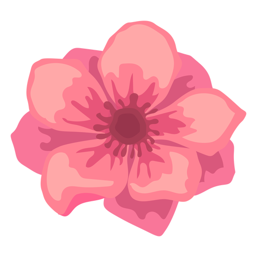 Poppy flower bud petal flat PNG Design