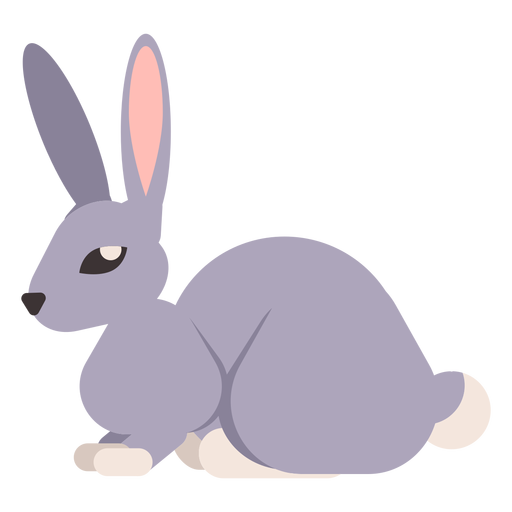 Conejo conejo cola hocico oreja redondeada plana Diseño PNG