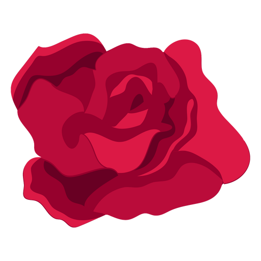 Rose flower bud petal flat