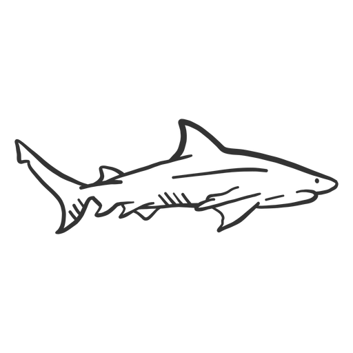 Doodle de cola de aleta de tibur?n Diseño PNG