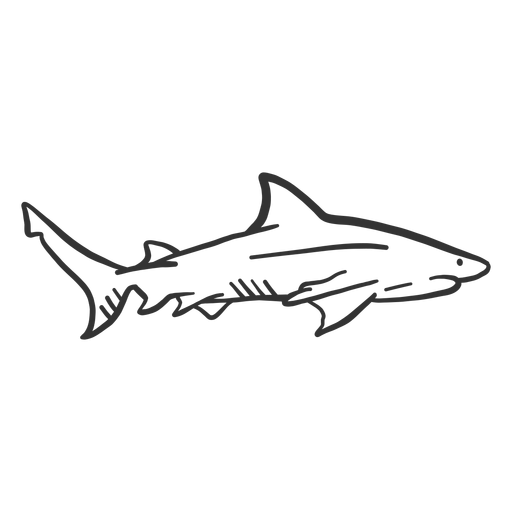 Download Shark Fin Tail Doodle Transparent Png Svg Vector File