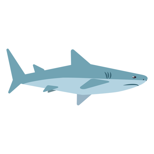 Aleta de cola de mandíbula de tiburón redondeada plana Diseño PNG