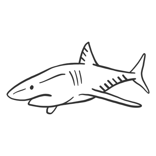 Doodle de aleta de cola de tibur?n Diseño PNG
