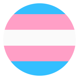 Faixa circular transgênero plana Desenho PNG