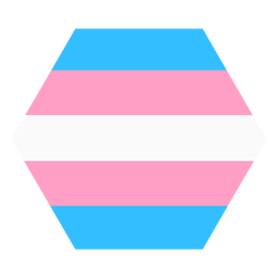 Transgender hexagon stripe flat PNG Design