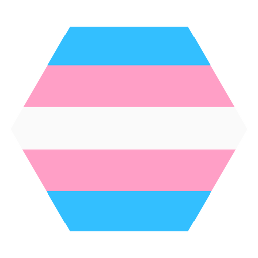 Transgender hexagon stripe flat PNG Design