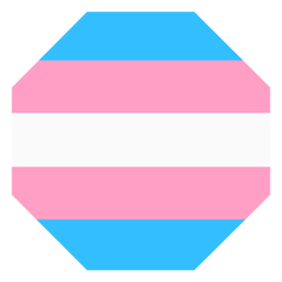 Transgender octagon stripe flat PNG Design