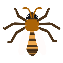 Wasp bee stripe wing rounded flat PNG Design