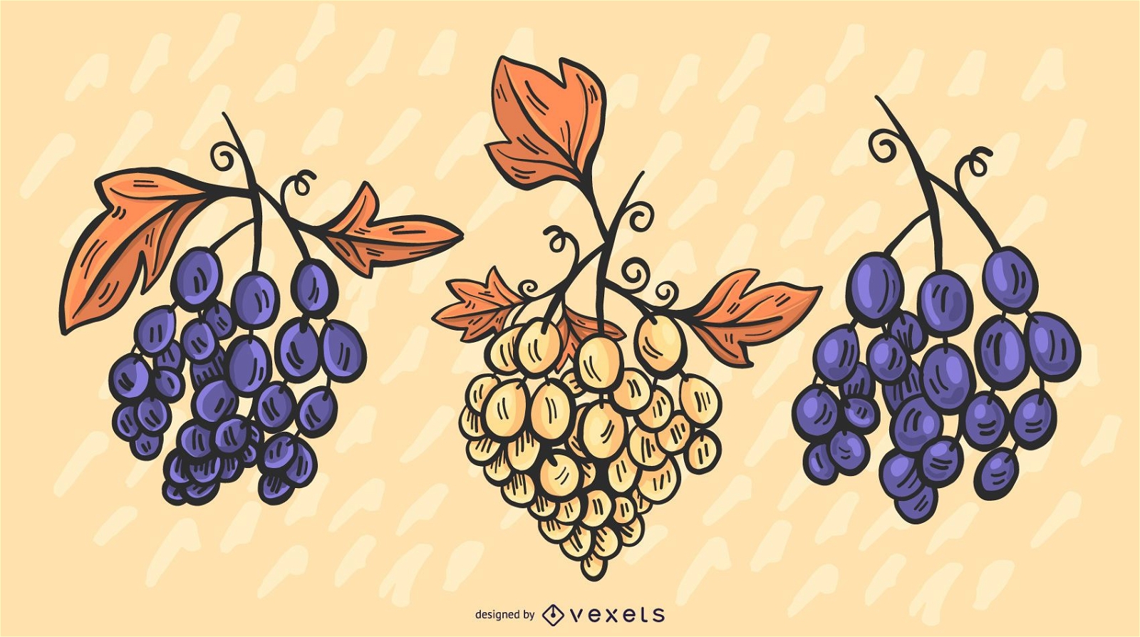Colored Grapes Illustration Set