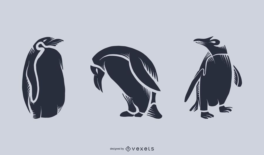 Silueta de pingüino ilustración Silueta de pingüino ilustración
