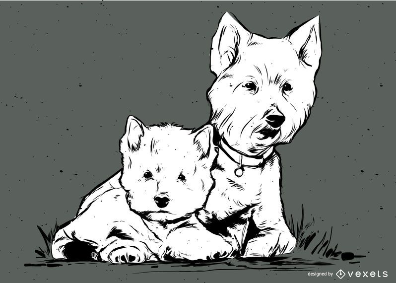 Perros terrier blanco Perros terrier blanco